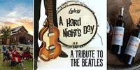 The Beatles covered by Hard Night's Day / Texas Wine / Anna, TX