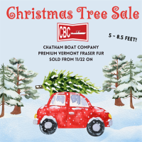 Christmas Trees For Sale!