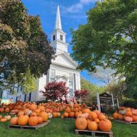 Pumpkin Patch 2026