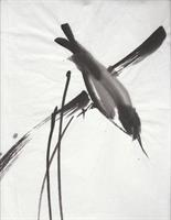 Marian Strangfeld- Sumi-E Brush Painting 2 DAY MINI CLASS: SUMI-E TUES-WED, 1-3PM MAY 28-29
