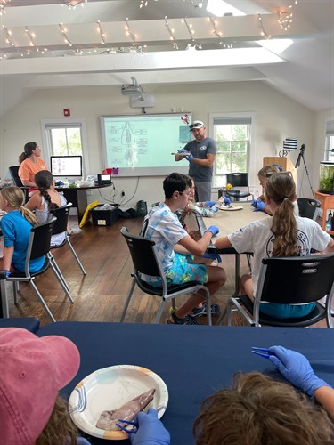 Squid dissection with Owen Nichols, PhD, of the Center for Coastal Studies