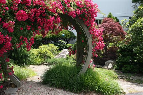 Roses on Moon Gate
