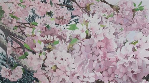 "Cherry Blossoms"