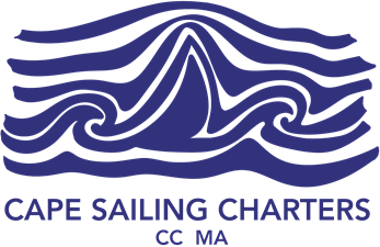 Cape Sailing Charters