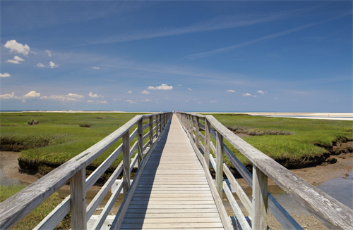 Gallery Image PIC_-_boardwalk.png