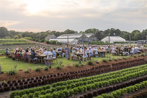 Farm Dinner