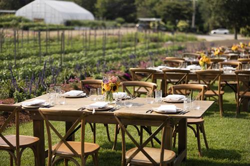 Farm Dinner