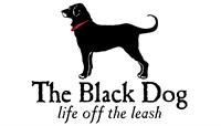 Cool Off at The Black Dog with Refreshing Fridays