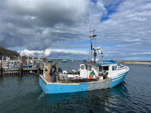 Providing local and abundant seafood from the waters east of Chatham 