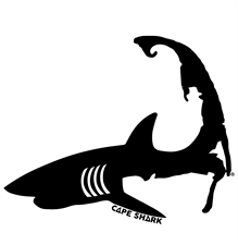 Cape Shark