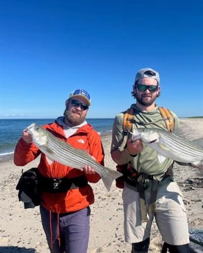 The rips at Monomoy Point are often crowded with sportfishing boats. We try to land you as close as possible so you can cast directly from the shore. We've landed folks at sunrise and pick ed them up near dusk, and they tell us they caught fish nonstop the whole time.
