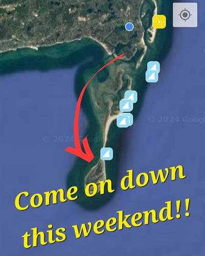 We land on the west side of Monomoy, and it is just a short walk to the back side, where seals (and their famous Great White predators) abound.