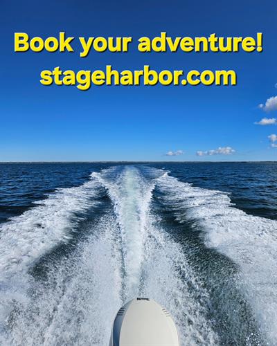 Whether heading 50 yards to your mooring with your family and three coolers, or 8 miles down Monomoy to visit the lighthouse, we are your ride to your Chatham adventure!