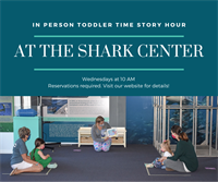 Toddler Story Hour at the Shark Center
