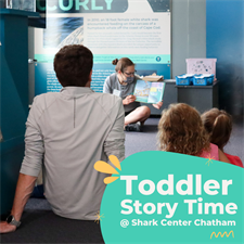Toddler Story Hour at the Shark Center Chatham