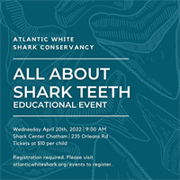 'All About Shark Teeth' Education Program @ Shark Center Chatham