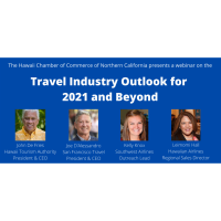 Travel Industry Outlook for 2021 and Beyond