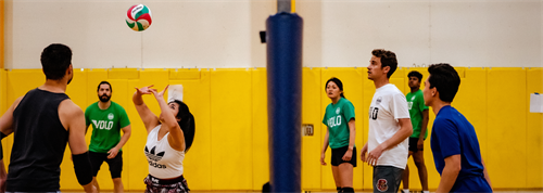 Gallery Image Volleyball_atJohn_O'Connell.png