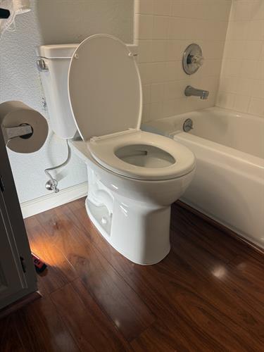 New Toto Drake Toilet Installation