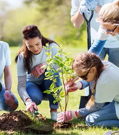 Gallery Image SEESDS.ORG_0.jpg