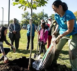 Gallery Image SEESDS.ORG_3.jpg