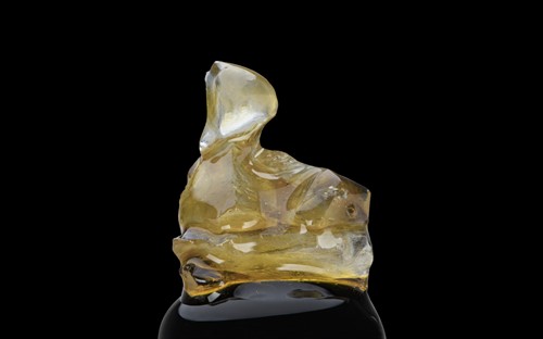 Gallery Image Canva_Download.jpg