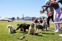 Pet Food Express Signs Lease, Will Open New Flagship Store at the Presidio’s Newly Renovated Eleven Eighty Crissy Field Complex