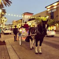 Horse-Drawn Carriage Rides, "Rock Around the Christmas Tree" Music Revue & Photos with Santa