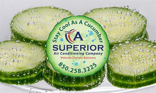 Gallery Image Bubbles-of-air-on-cucumber-924958.jpg