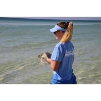 Gulfarium C.A.R.E. Center Successfully Released Three Rehabilitated Sea Turtles