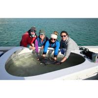 Destin-Fort Walton Beach Coastal Resource Team assists in unique devil ray research