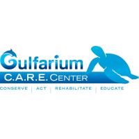 Gulfarium C.A.R.E. Center Successfully Releases Three Cold Stun Sea Turtles After Months of Treatment