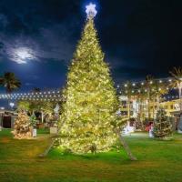 Coastal White Christmas Arrives at Grand Boulevard