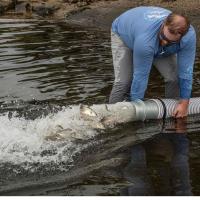 Destin-Fort Walton Beach and Coastal Conservation Association Florida Release 30,000 Redfish into the Choctawhatchee Bay