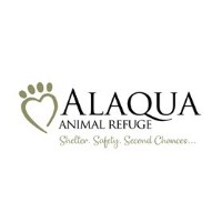 Alaqua Animal Refuge Prepares to Welcome Pregnant Beagles Rescued from Wisconsin Research Facility