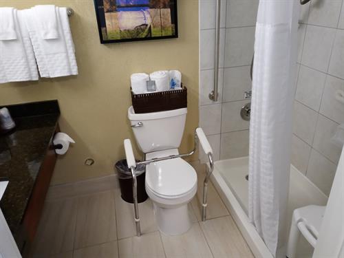 Guest Room Bath, Accessible