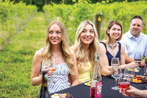 Vineyard wine tasting