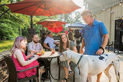 Dog friendly patio