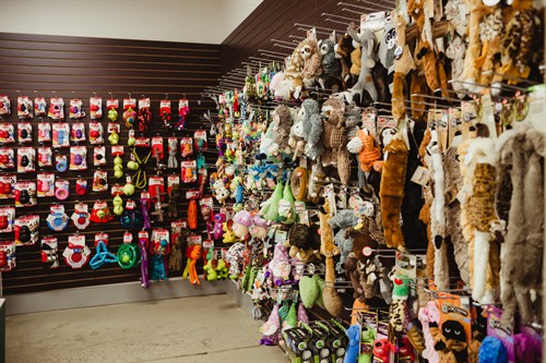 We have a great selection of pet toys, treats, collars and leashes!
