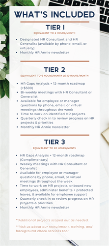 HR Annie Consulting Tiered Services 2