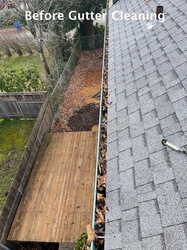 Before Gutter Cleaning