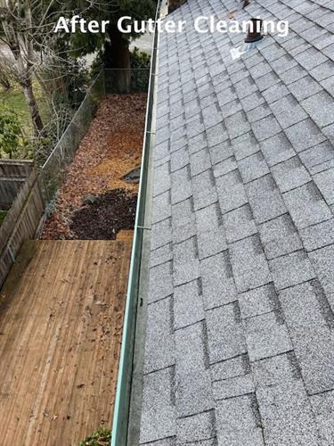 After Gutter Cleaning