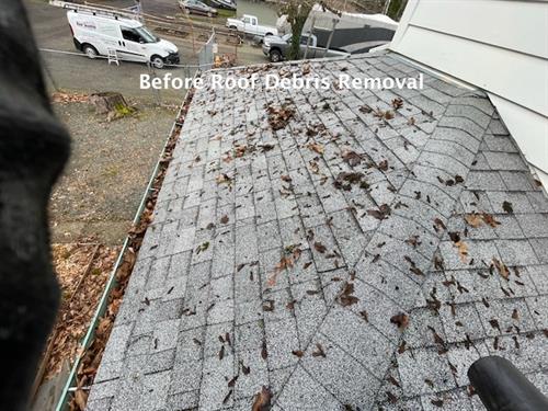 Before Roof Debris Removal