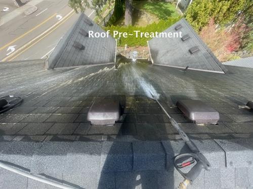 Pre-Treat Roof Before Water Disk Clean
