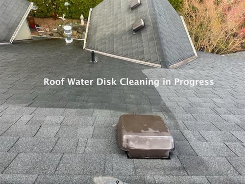  Roof Cleaning with Water Disk