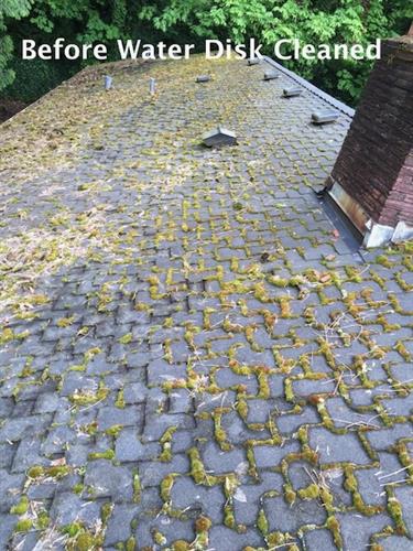 Before Roof Cleaning with Water Disk