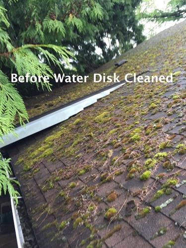 Before Roof Cleaning with Water Disk