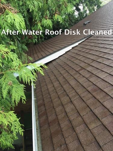 After Roof Cleaning with Water Disk