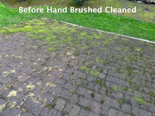 Before Hand Brush Cleaning Roof