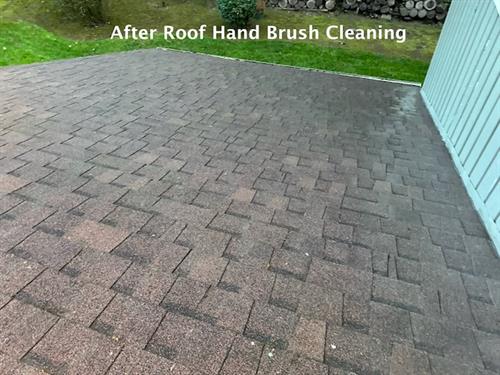 After Hand Brush Roof Cleaning